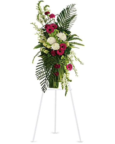 Gerberas und Palmen-Spray