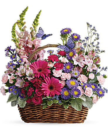 Landkorbblüten