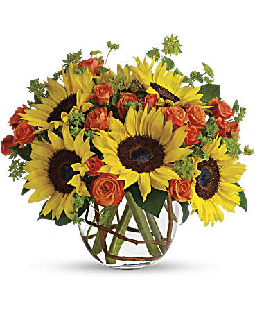 Sonnige Sonnenblumen