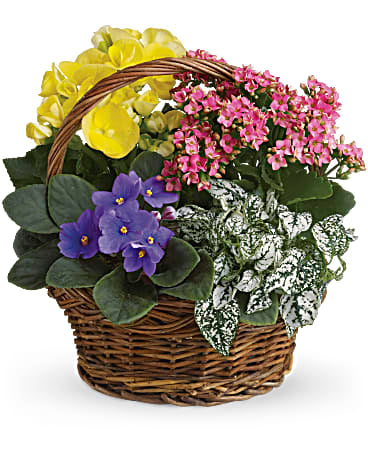 Gemischter Frühlingskorb