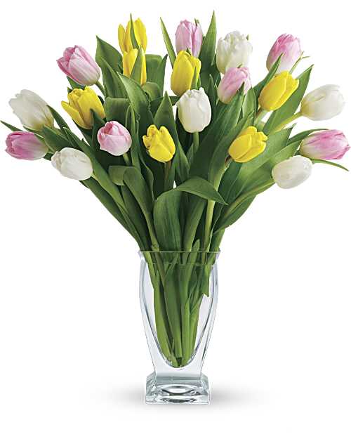 Tulpen-Schätze
