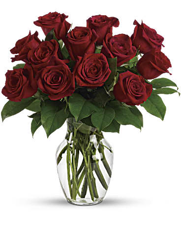 Valentine Rose Bundle