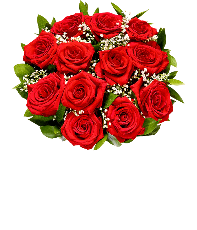 Valentine Rose Bundle