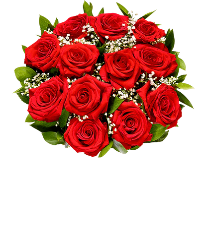 Valentine Rose Bundle