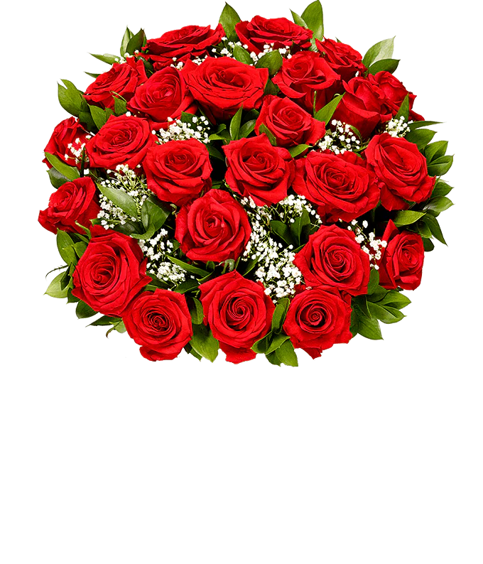 Valentine Rose Bundle