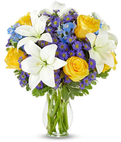 Blue Skies & Sunshine