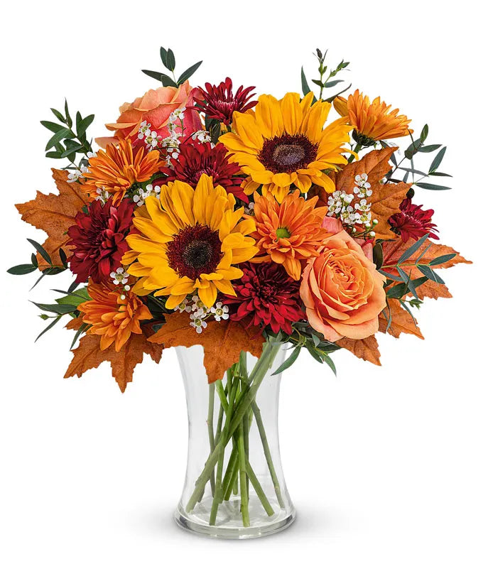 Season of the Harvest