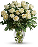 White Roses