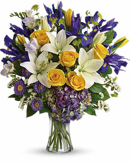 Spring Iris