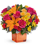 Spread Some Sunshine